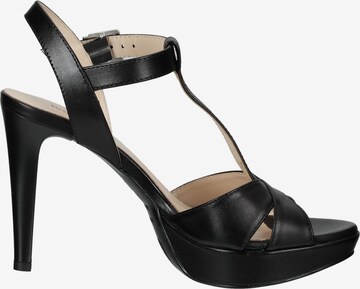 Nero Giardini Strap Sandals in Black