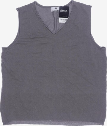 Peter Hahn Top & Shirt in 5XL in Grey: front