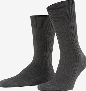 FALKE Socks 'Bristol Pure' in Grey: front