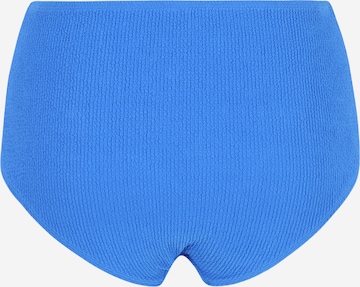 Pantaloncini per bikini di LingaDore in blu