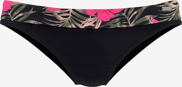 VENICE BEACH Bikini Bottoms in Black: front