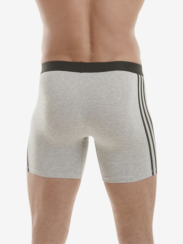 Sous-vêtements de sport ' BOXER BRIEF ' ADIDAS SPORTSWEAR en gris