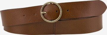 Ceinture 'Athena' LEVI'S ® en marron : devant