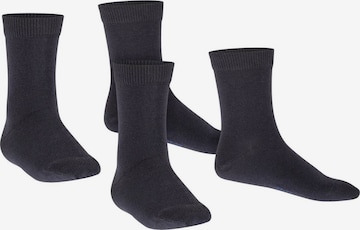 Chaussettes FALKE en gris