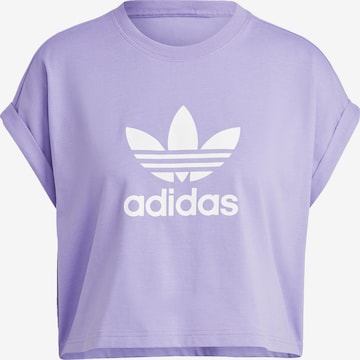 ADIDAS ORIGINALS Shirt 'Adicolor Classics Trefoil' in Lila: voorkant