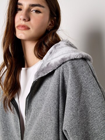 Apricot Klederdrachtjas ' ' in Grijs