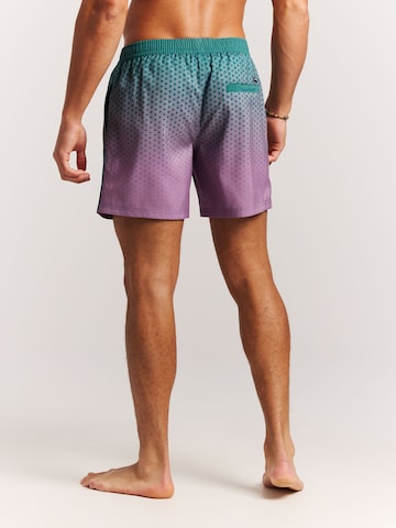PROTEST Board Shorts 'PRTNorthaw' in Green