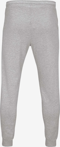 Errea Slim fit Workout Pants 'Denali' in Grey