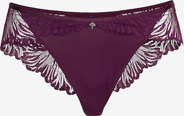 JOOP! Broekje ' Intimate Apparel ' in Lila: voorkant
