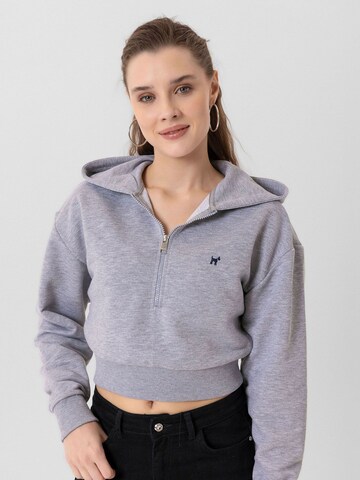 Williot Pullover 'Isabella' in Grau