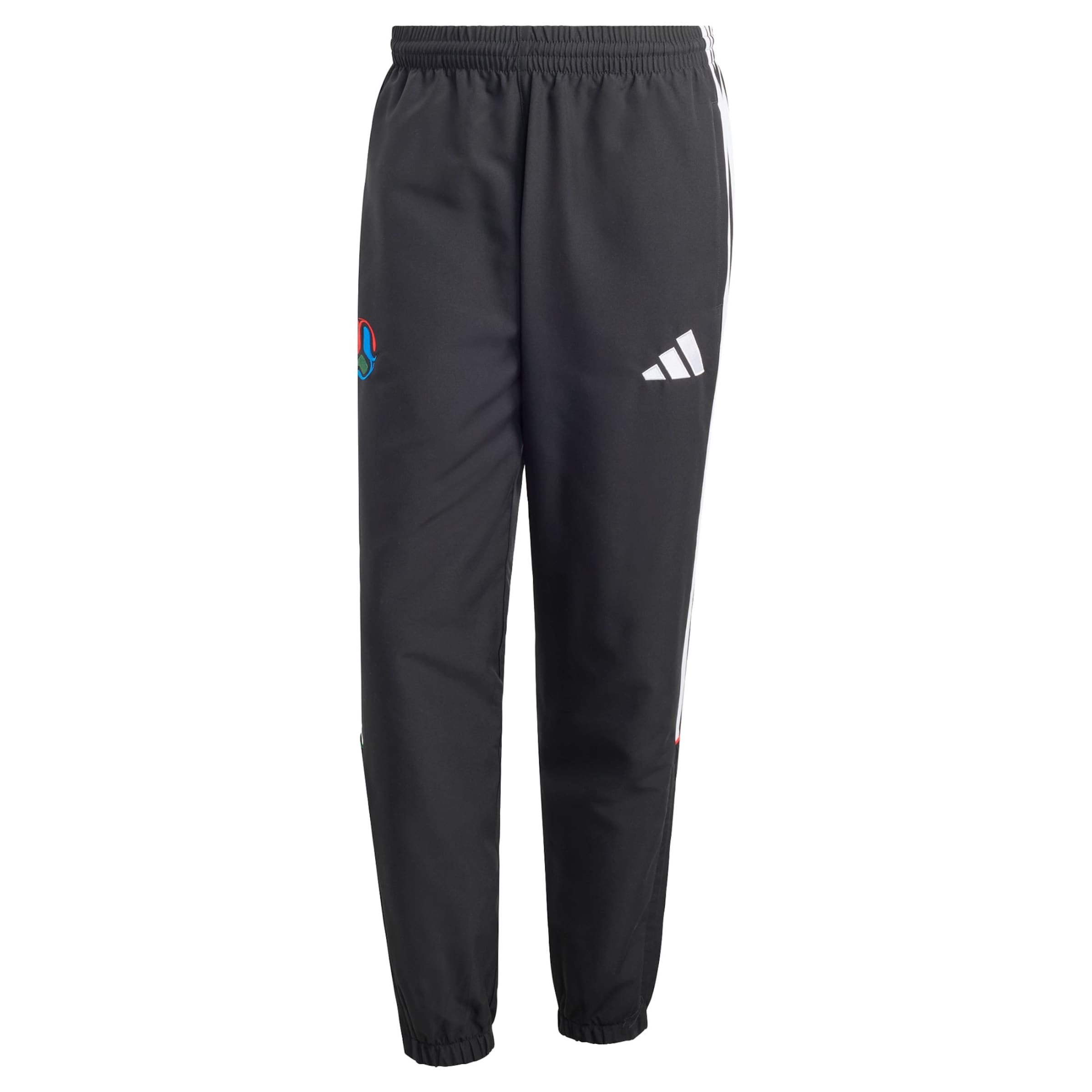 ADIDAS PERFORMANCE - regular Pantalón deportivo en negro: frente