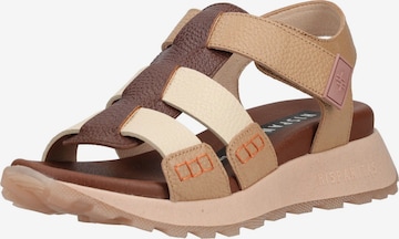 Sandales Hispanitas en marron : devant