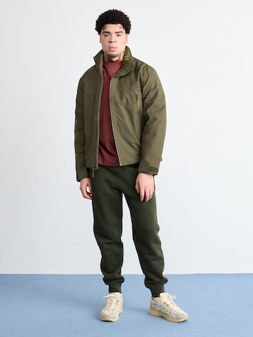 THE NORTH FACE Куртка в спортивном стиле 'RANGE' в Зеленый