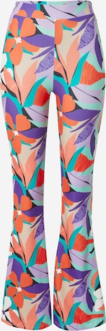 Colourful Rebel Flared Pants in Mixed colors: front
