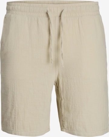 Pantalon fonctionnel JACK & JONES en beige : devant