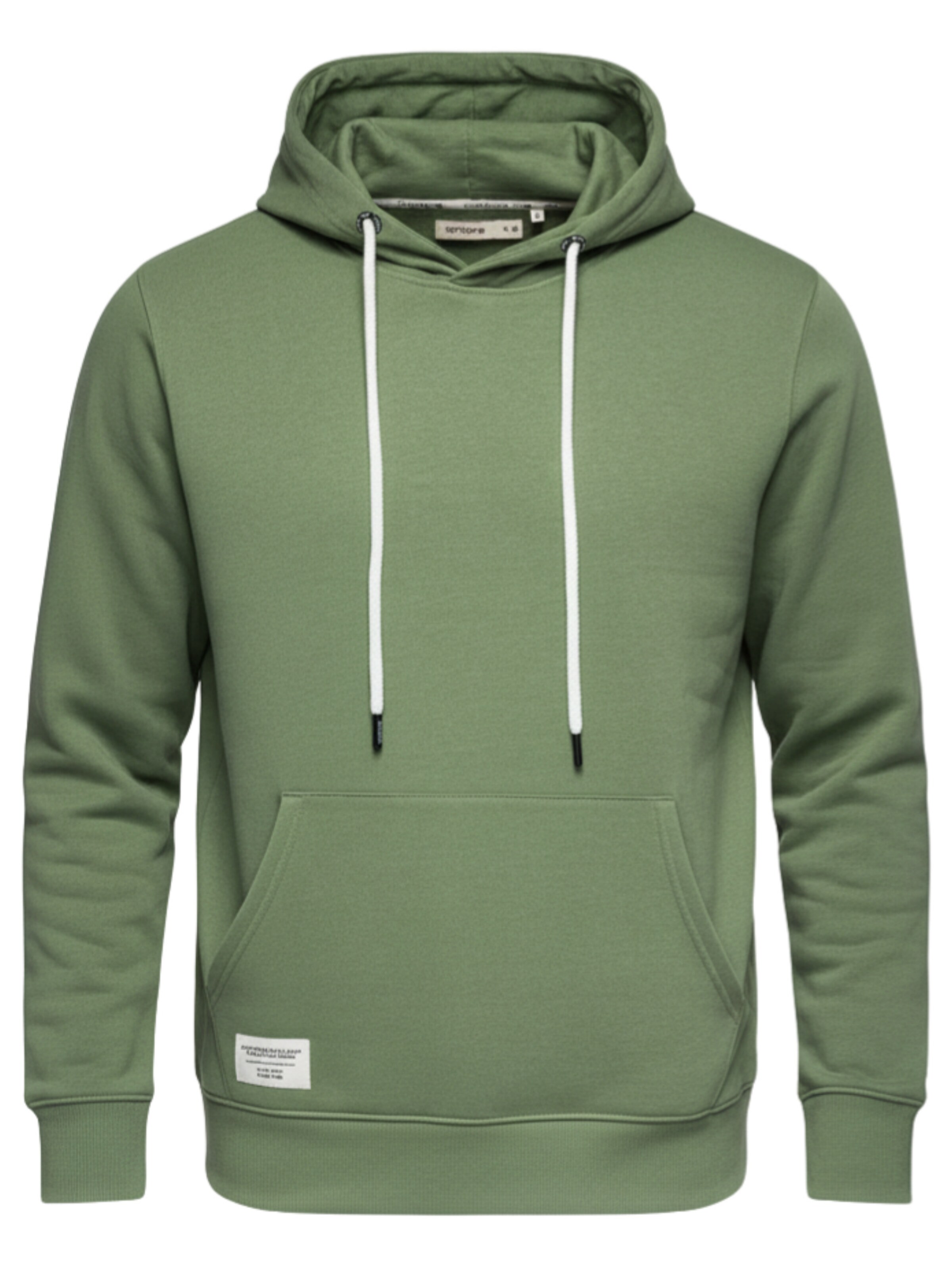 Ombre Sweatshirt 'OM-SSBN-0270' in Green: front