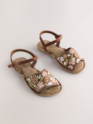 Next Sandale in Braun