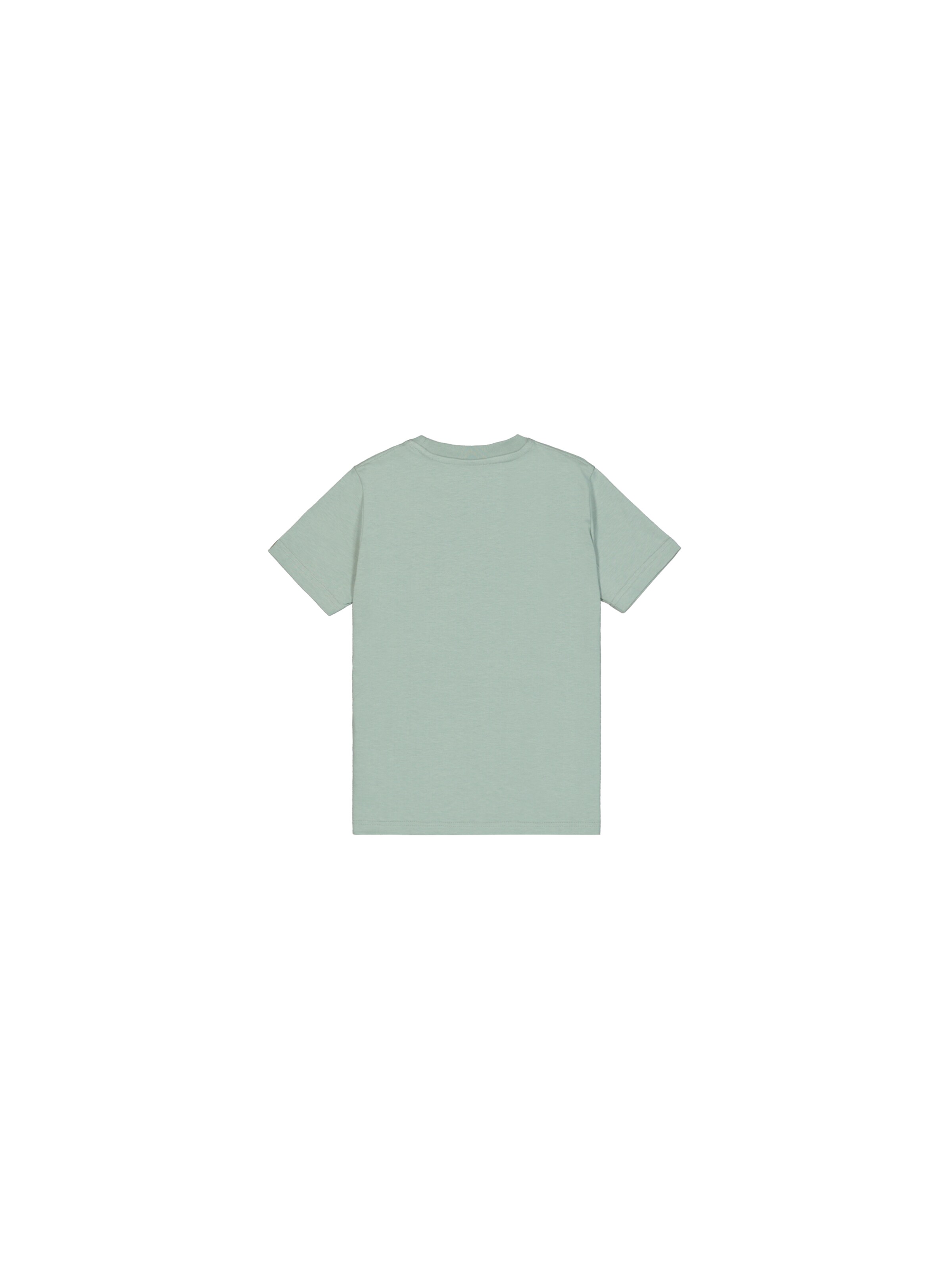 ALPHA INDUSTRIES Shirt in Green