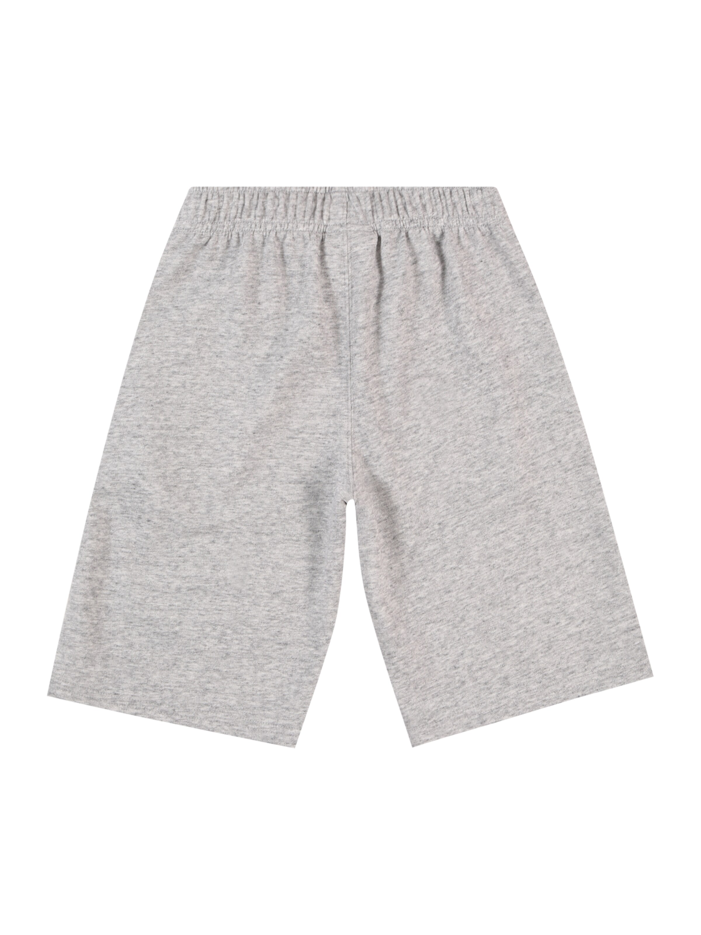Champion Authentic Athletic Apparel Regular Shorts 'Icons' in Grau