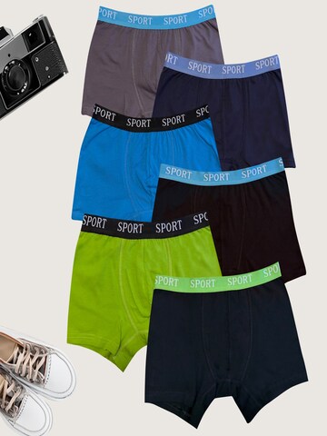 LOREZA Underpants 'Jungen Boxershorts Arno' in Mixed colours