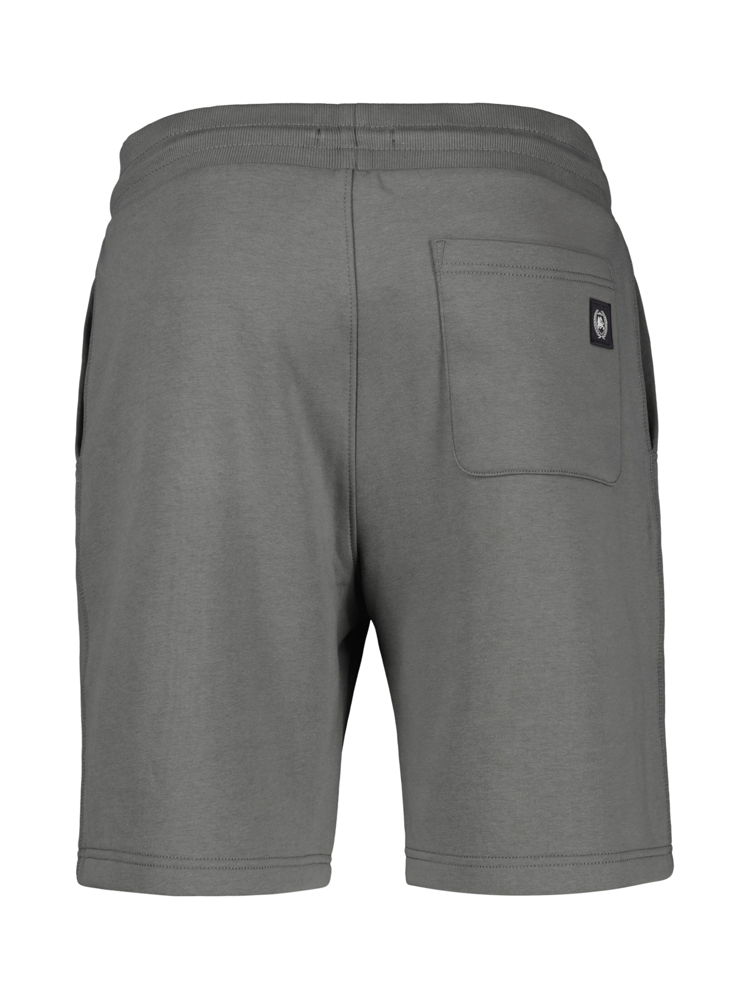 LERROS Regular Pants in Grey