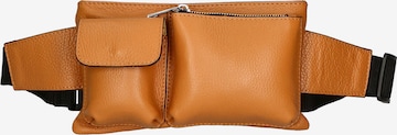faina Fanny Pack in Brown: front