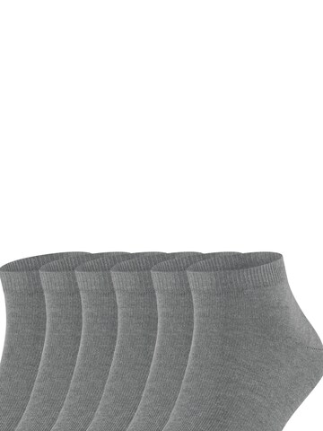 FALKE Socks 'Happy 6-Pack' in Grey