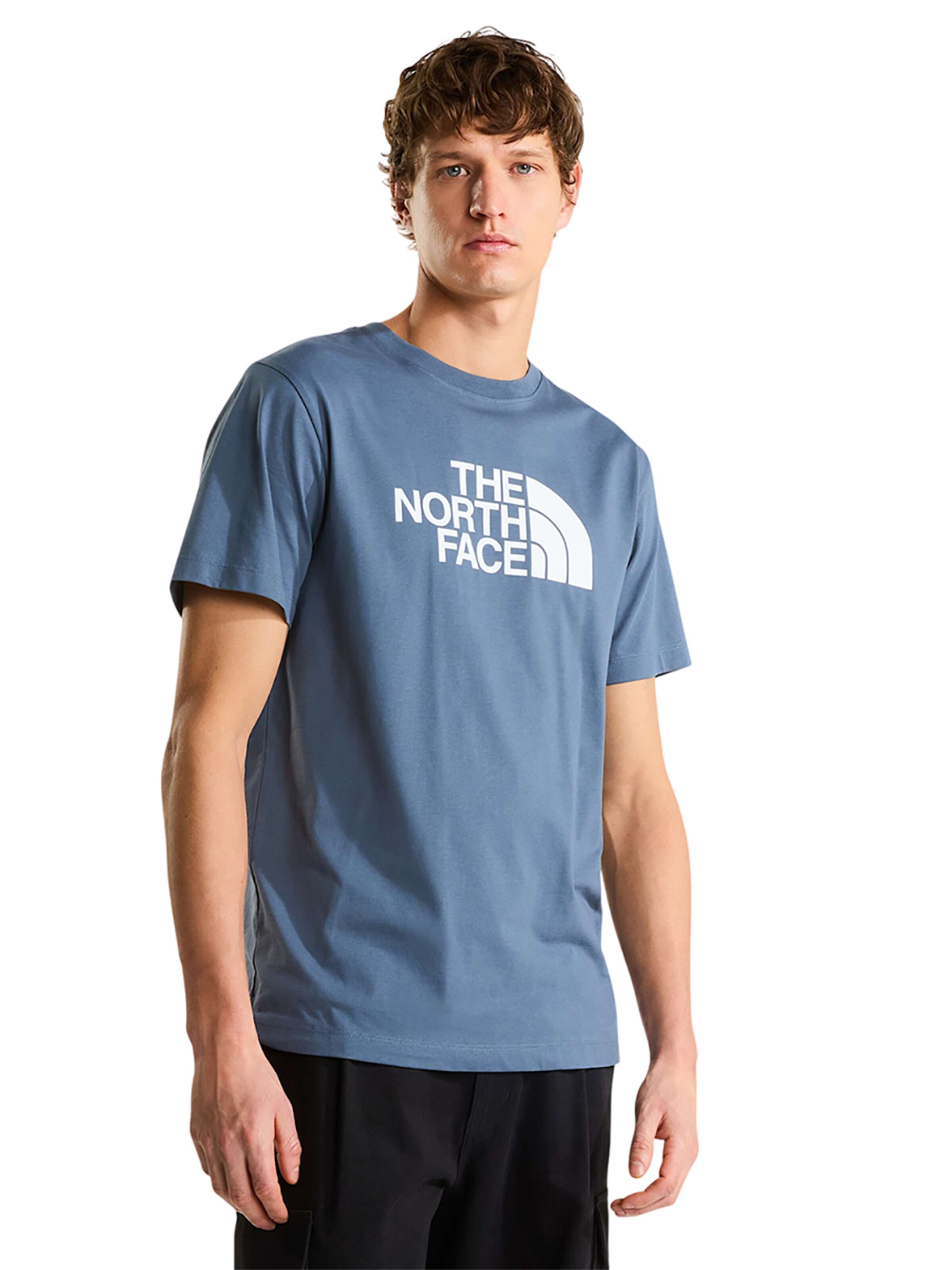 THE NORTH FACE Shirt in Blue: front