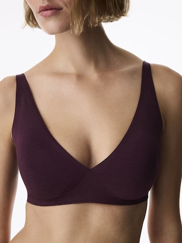 Soutien-gorge 'BHs & Bralettes' Penti en violet : devant