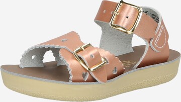 Salt-Water Sandals Sandaler 'Sweetheart' i guld: forside