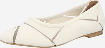 Apple of Eden Ballerina 'LINA' värissä beige: etupuoli