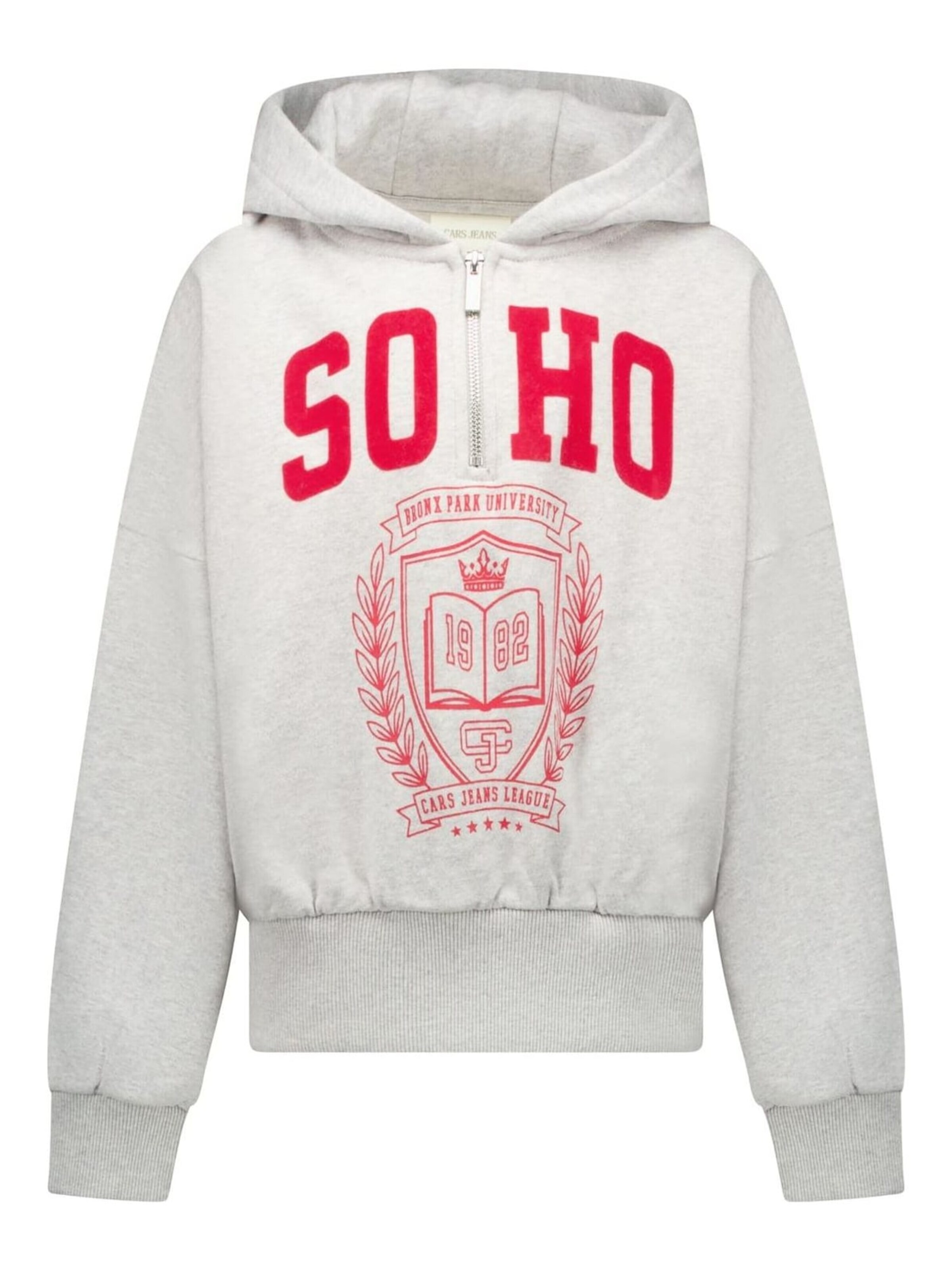 CARS Sweater in Grey