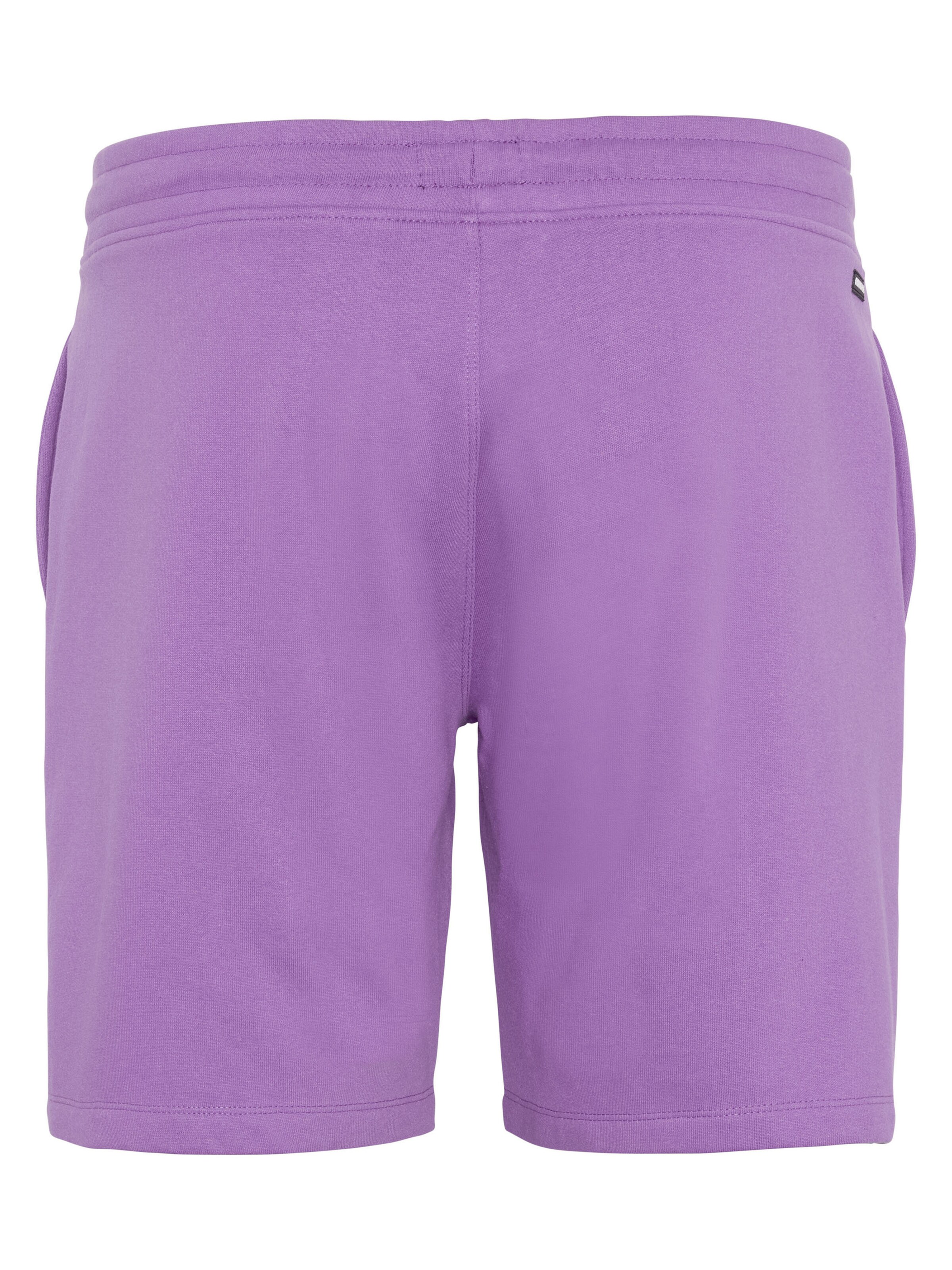 CHIEMSEE Regular Pants in Purple