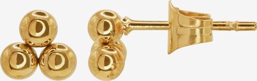 Heideman Earrings 'Isla' in Gold