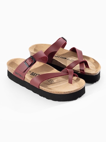 Bayton Muiltjes 'Andromac' in Rood