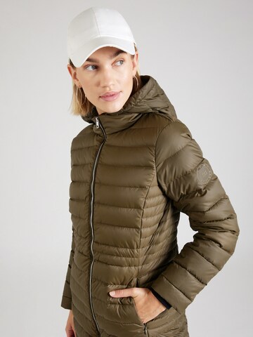 TOMMY HILFIGER Winter Coat in Green