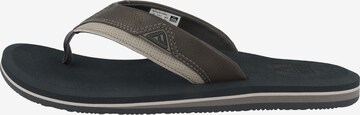 REEF Beach & Pool Shoes 'Cushion Dawn' in Grey