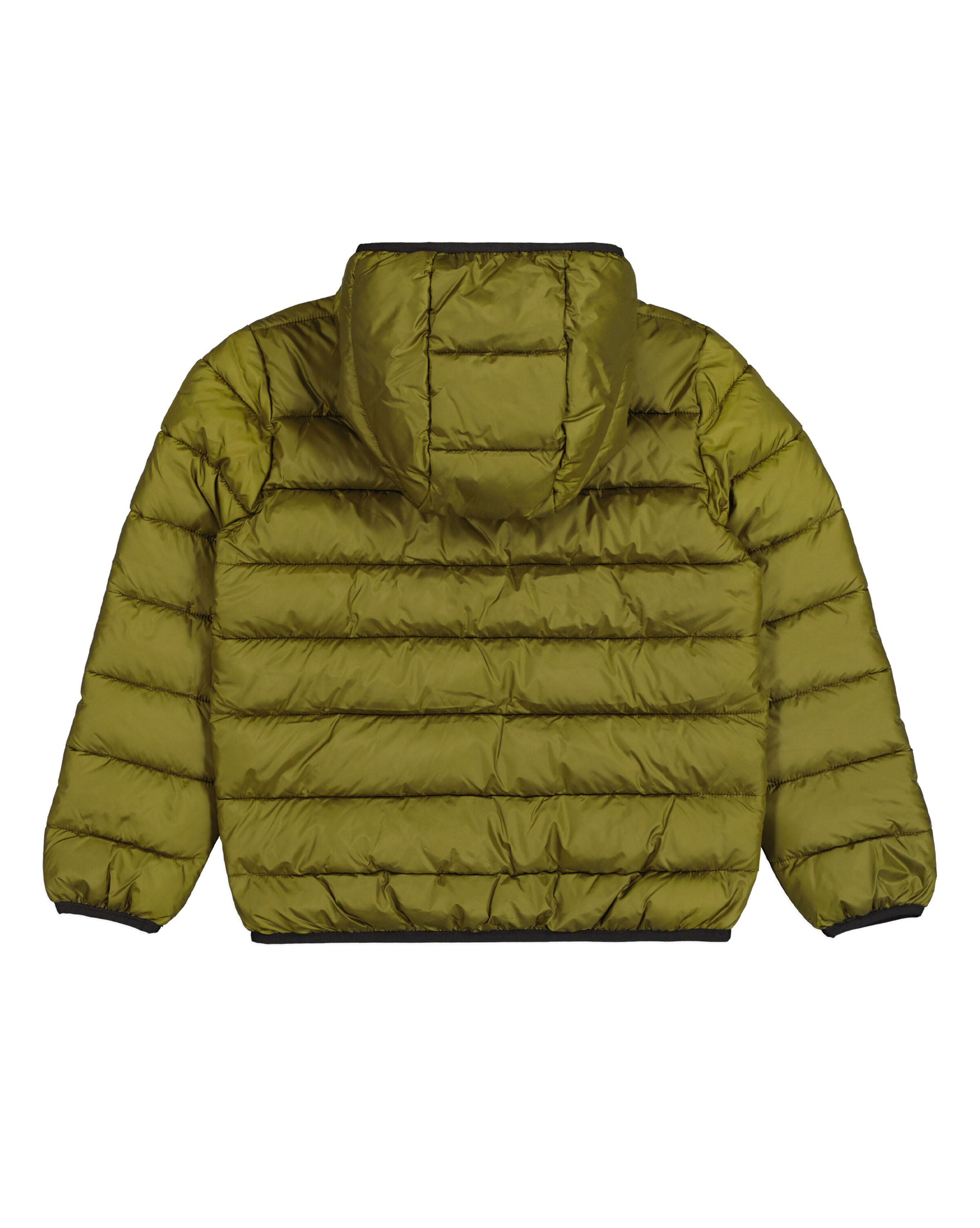 Champion Authentic Athletic Apparel Winter Jacket in Green