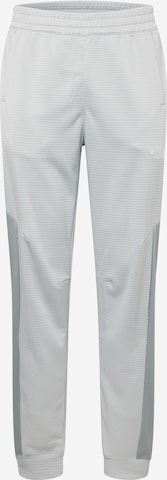 Tapered Pantaloni sport de la THE NORTH FACE pe gri: față