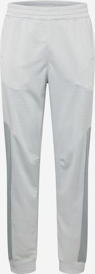 THE NORTH FACE Pantalon de sport en gris / gris clair / blanc, Vue avec produit