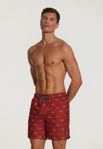 Shiwi Kratke kopalne hlače | rjava barva: sprednja stran