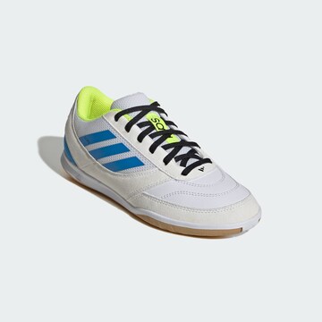 Chaussure de sport 'Top Sala Competition II' ADIDAS PERFORMANCE en blanc