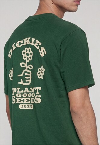 Maglietta 'Good Seeds' di DICKIES in verde