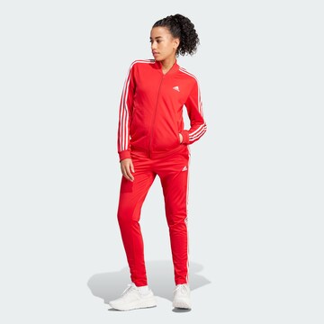 Costum de trening 'Essentials' de la ADIDAS SPORTSWEAR pe roșu