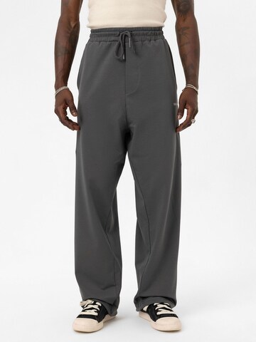 Loosefit Pantaloni di VAMOS CLO in grigio: frontale