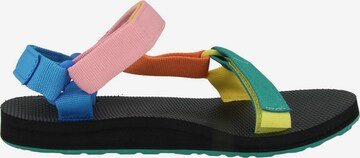 TEVA Sandale 'Original Universal' in Mischfarben