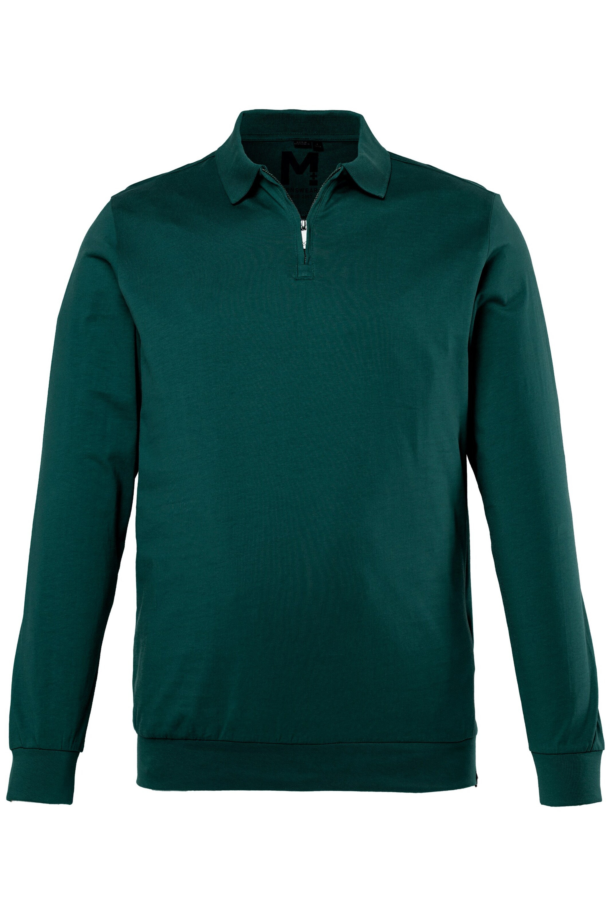 Men Plus Shirt in Grün: Vorderseite