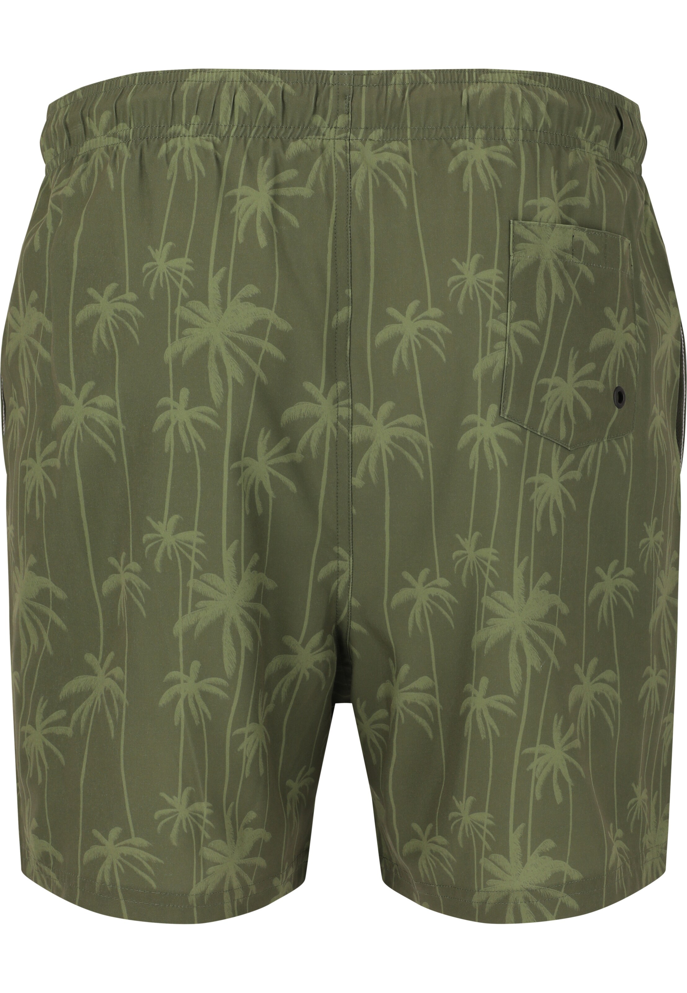 Cruz Zwemshorts 'Rohan' in Groen