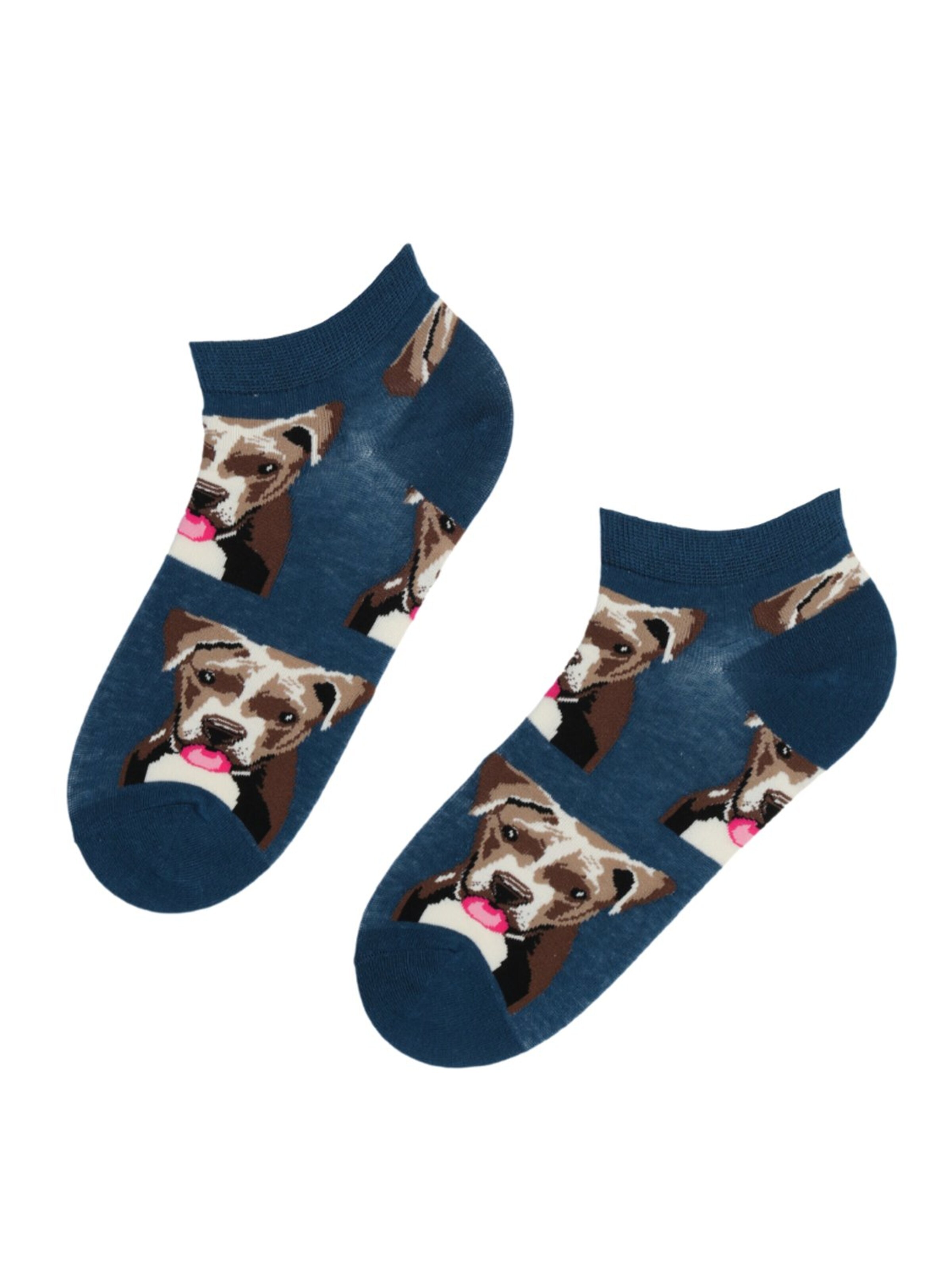 Sokisahtel Socken 'PITBULL cotton low-cut socks' in 36-40 in mischfarben, Produktansicht