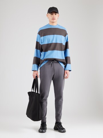 HOLLISTER Tapered Hose in Grau